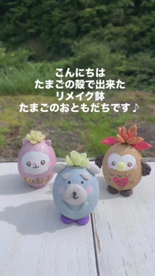 新品　リメイク鉢　作家さん Amazon.co.jp: リメイク鉢 リメ鉢 作家さん : おもちゃ